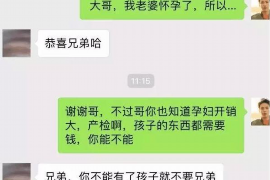 蠡县融资清欠服务